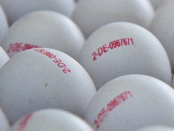 Eier Markierung